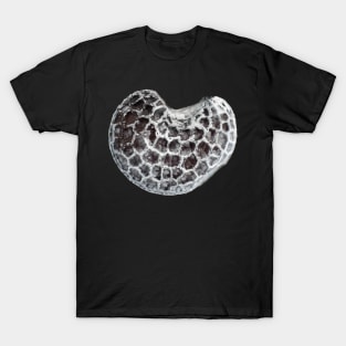 Poppy seed under the microscope T-Shirt